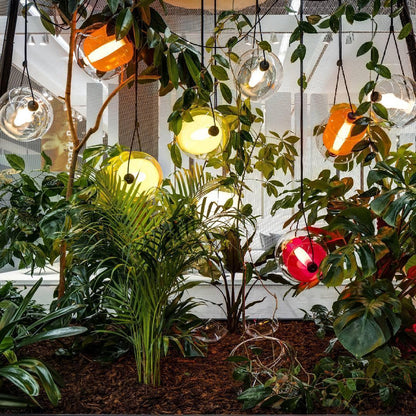 Cello Glass Pendant Light for Kitchen and Dining Room