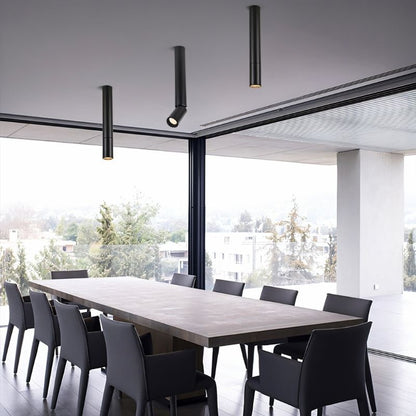 nuvlight Jorah Architectural Adjustable Directional Track Light