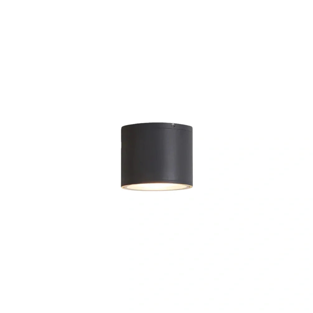 Irondale Modern Outdoor Ceiling Light - Black Metal/Glass Cylindrical for Garden