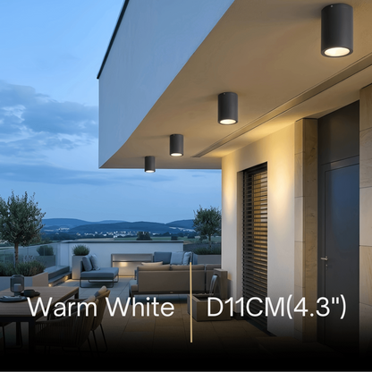 Irondale Modern Outdoor Ceiling Light - Black Metal/Glass Cylindrical for Garden