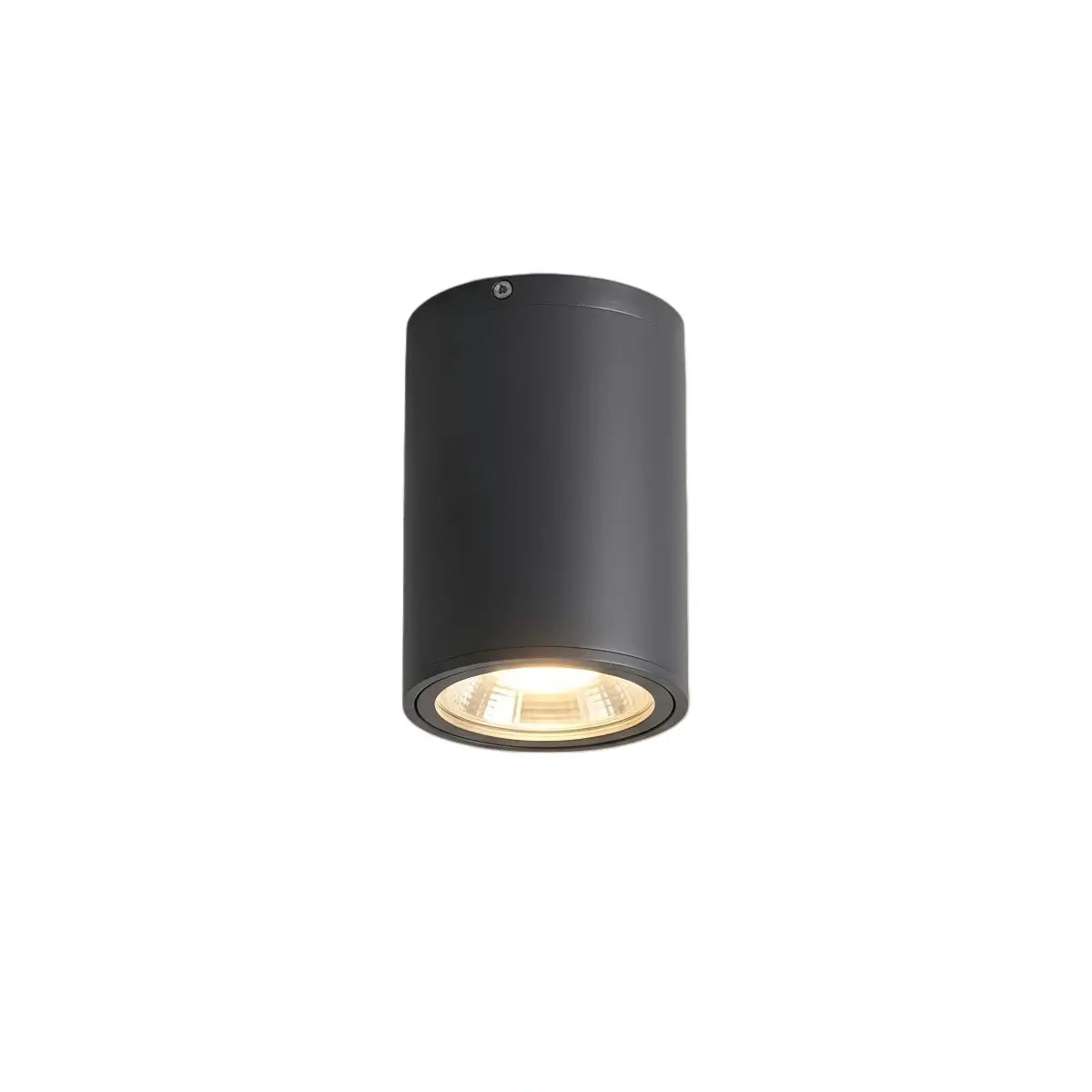 Irondale Modern Outdoor Ceiling Light - Black Metal/Glass Cylindrical for Garden