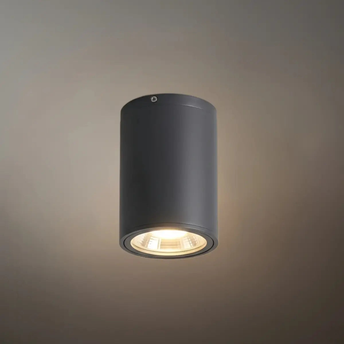 Irondale Modern Outdoor Ceiling Light - Black Metal/Glass Cylindrical for Garden