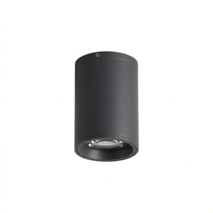 Irondale Modern Outdoor Ceiling Light - Black Metal/Glass Cylindrical for Garden