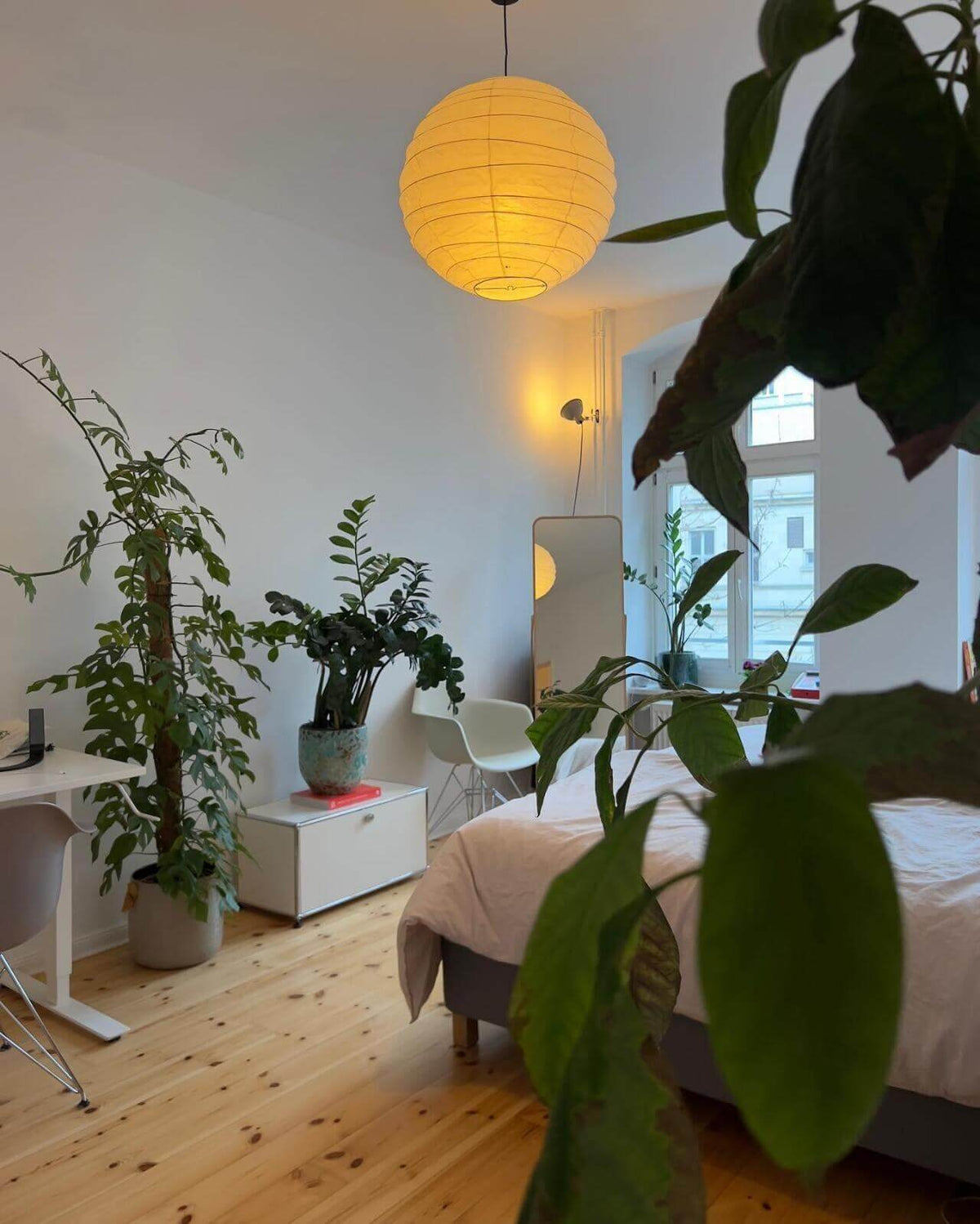 Akari D Series Pendant Lamp