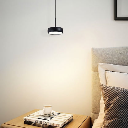 Fionn Pendant Light