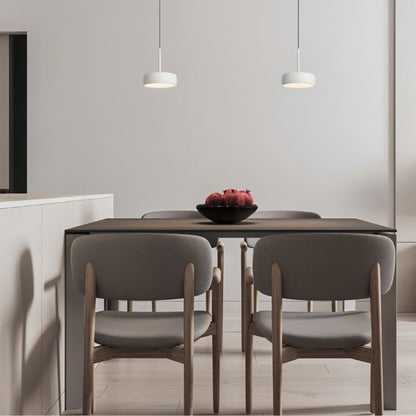 Fionn Pendant Light