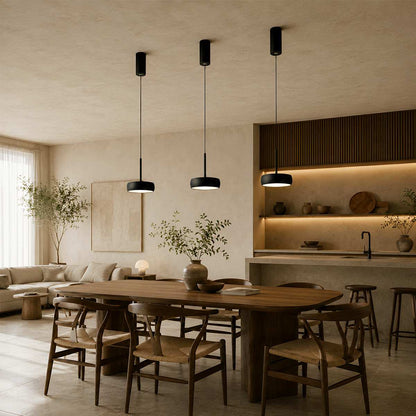 Fionn Pendant Light