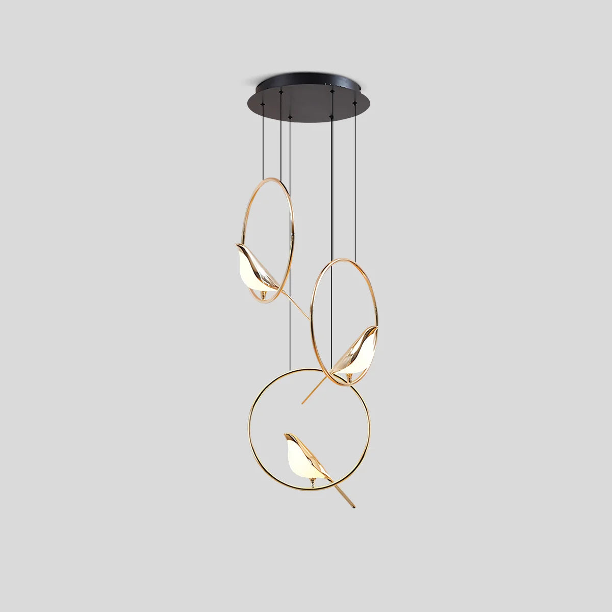 Nuvlight Modern Gold Birds LED Chandelier Round-3 Heads Warm Light