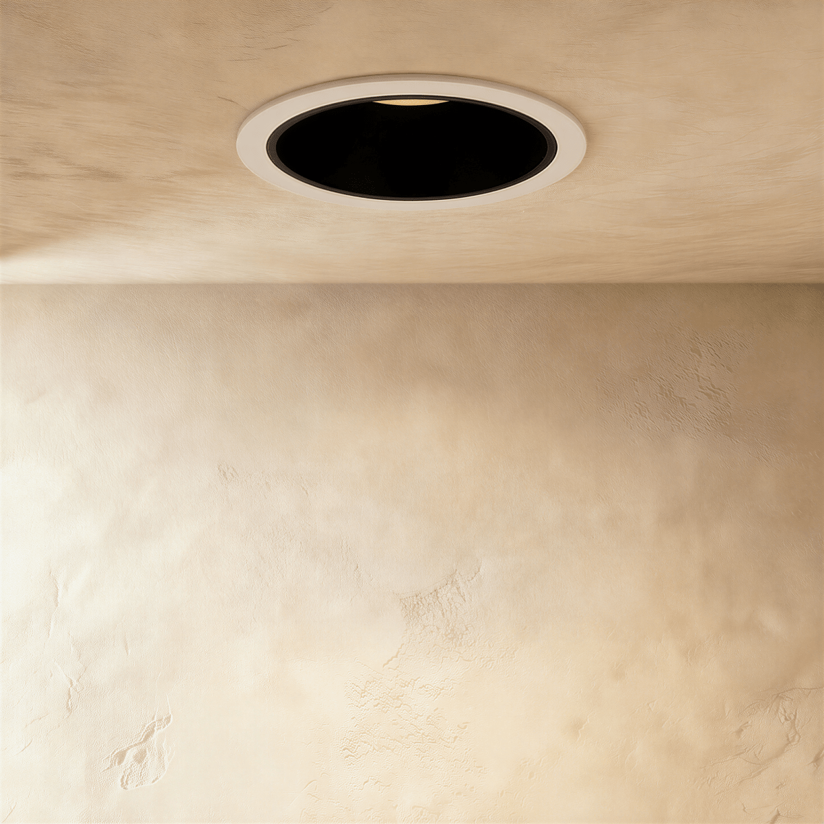Silis Adjustable Downlight